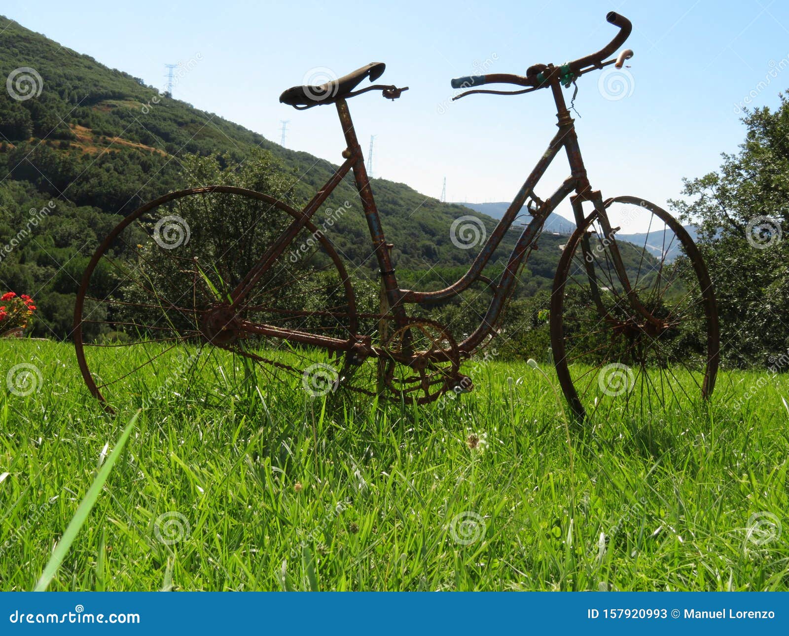 beautiful photo of a rusty old bicycle and abused