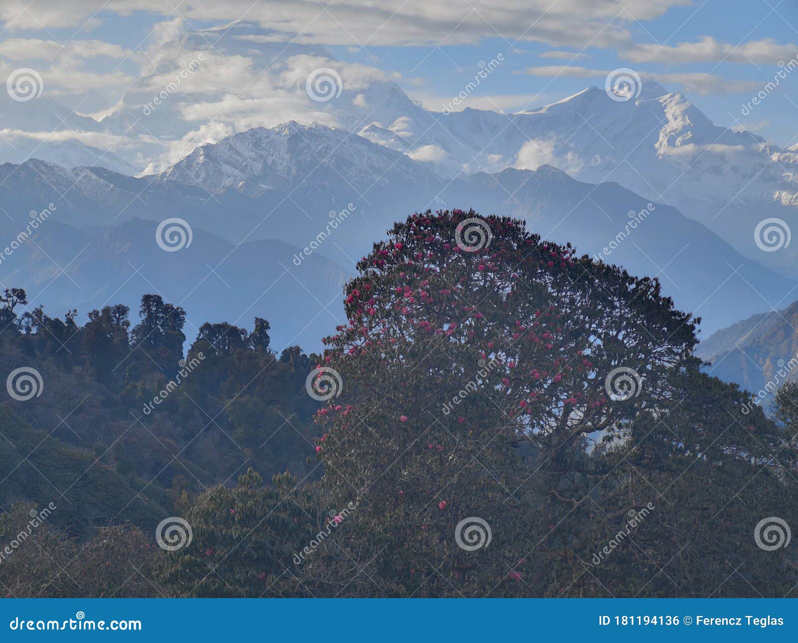 a beautiful picture of annapurna peaks, poon hill, nepal