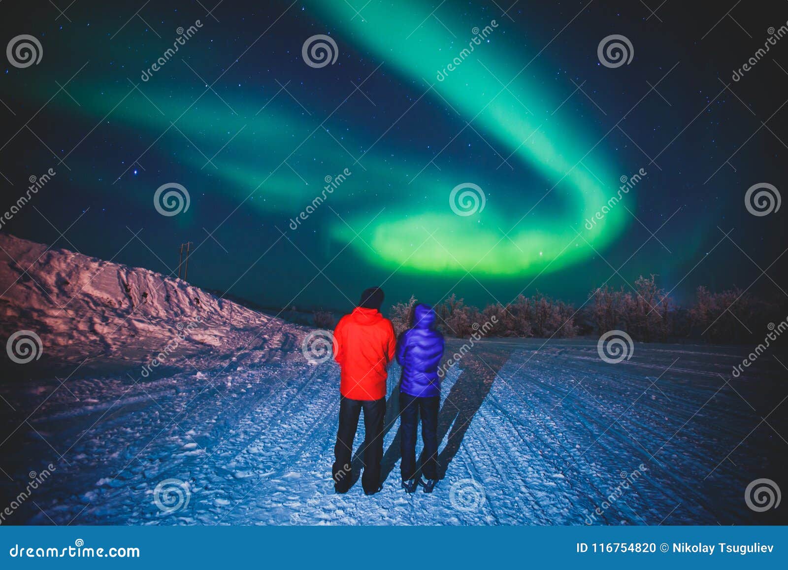 beautiful picture of massive multicolored green vibrant aurora borealis, also known as northern lights, sweden, lapland