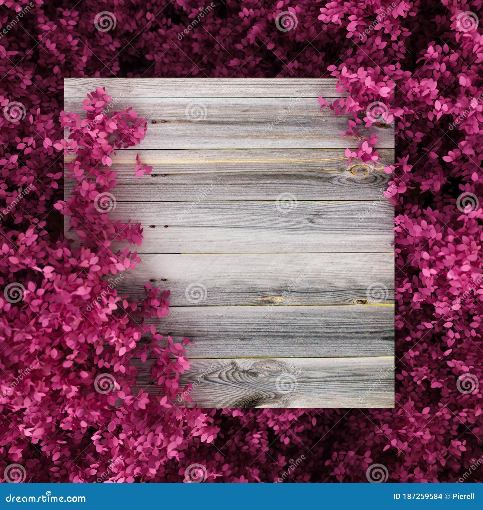 Beautiful Pink Background with Leaves and Wood Texture, Season of the ...
