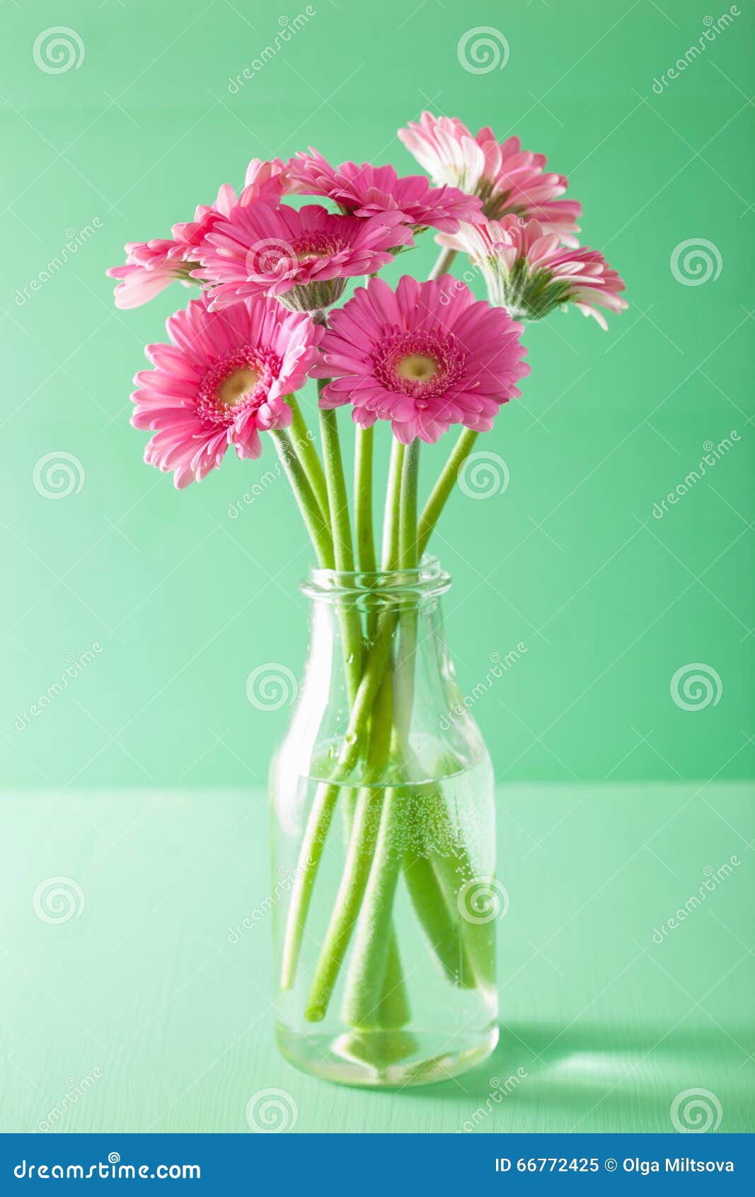 Beautiful Pink Gerbera Flowers Bouquet in Vase Stock Image Image of