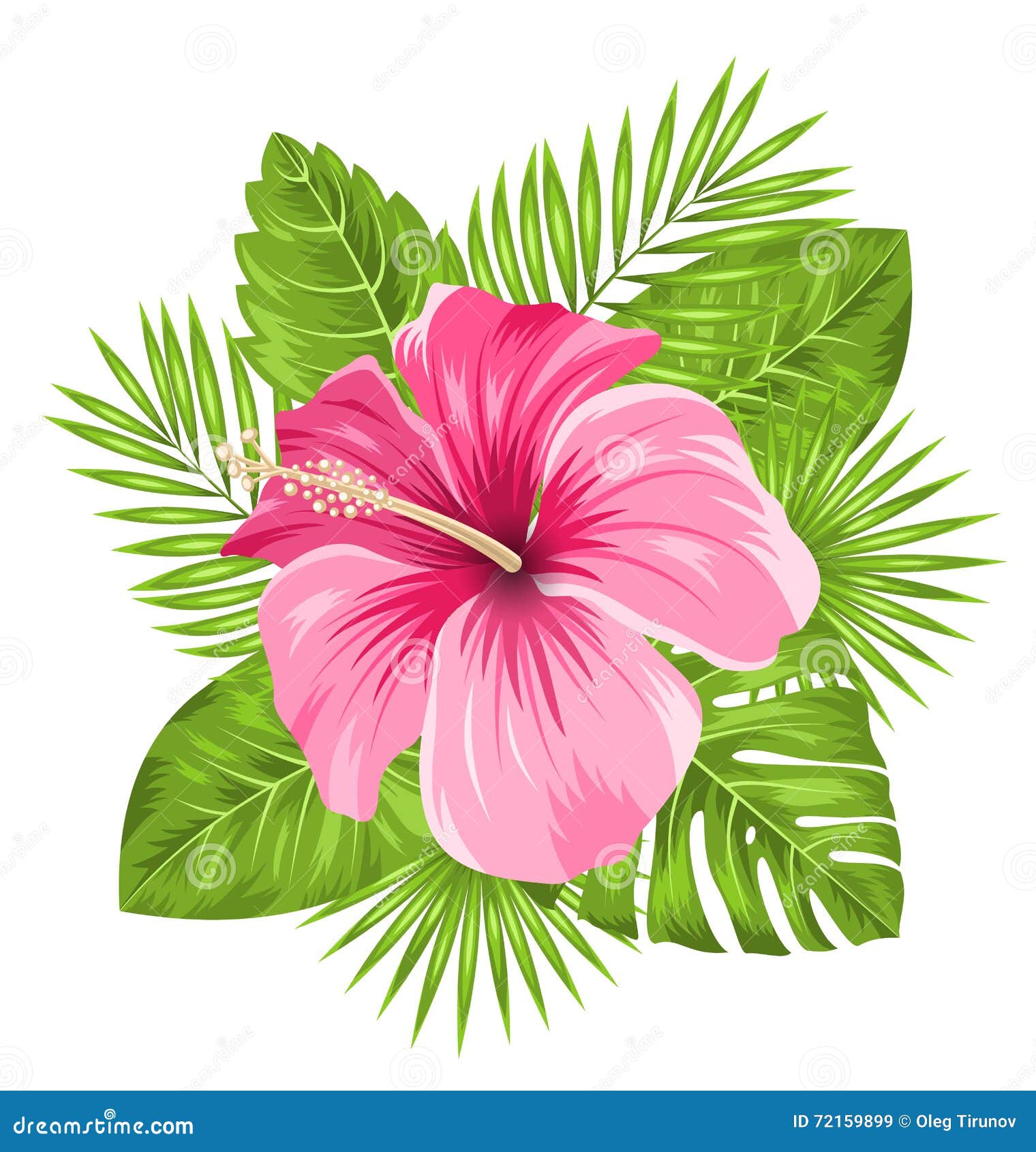 Beautiful Pink Hibiscus Flowers Blossom and Tropical Leaves Stock Vector -  Illustration of branch, mallow: 72159899