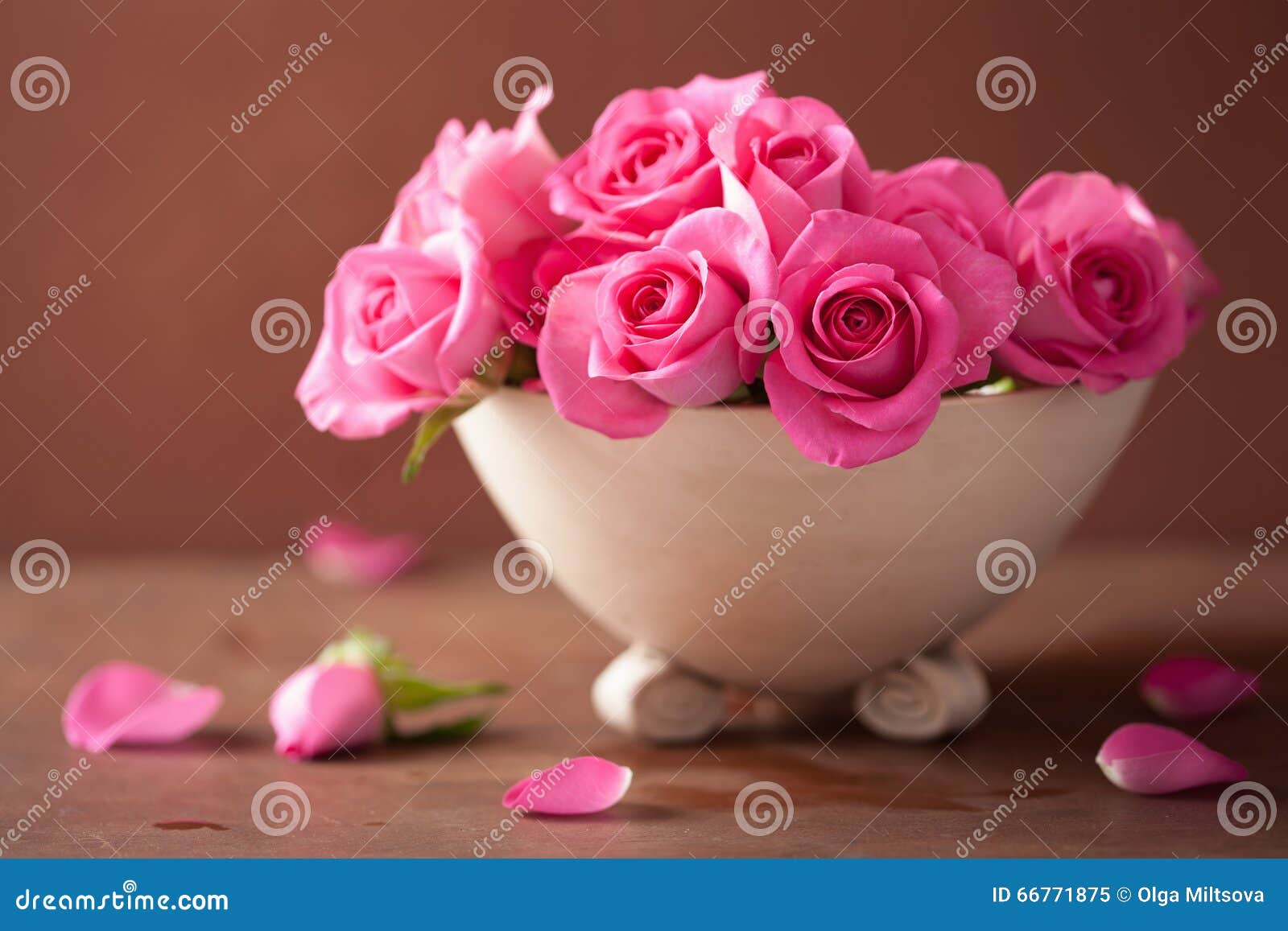Beautiful Pink Rose Flowers in Vase Stock Image - Image of petal ...