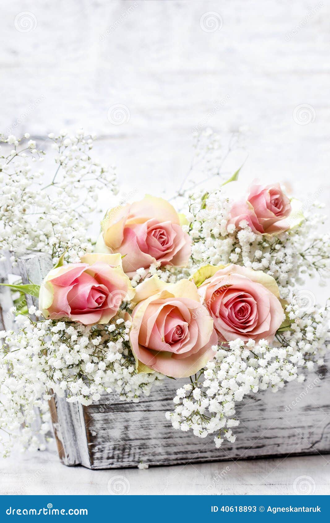 Beautiful Pink Roses And Gypsophila (Baby's-breath Flowers