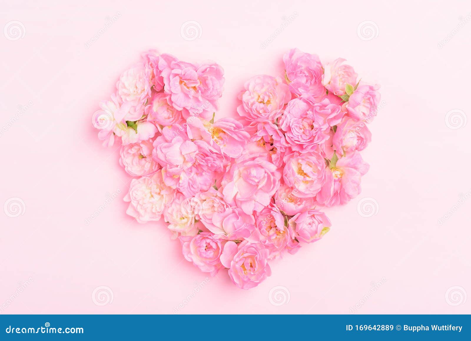 heart pictures with pink roses