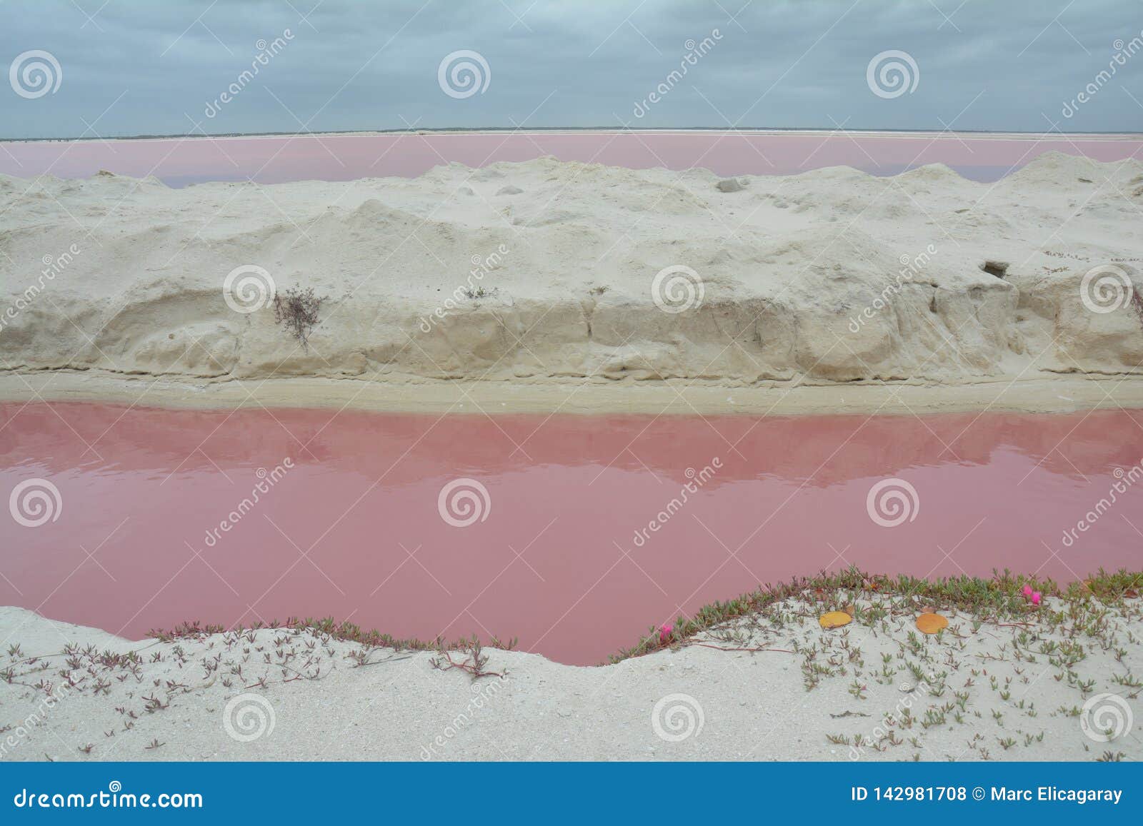 pink lake las coloradas yucatan mexico