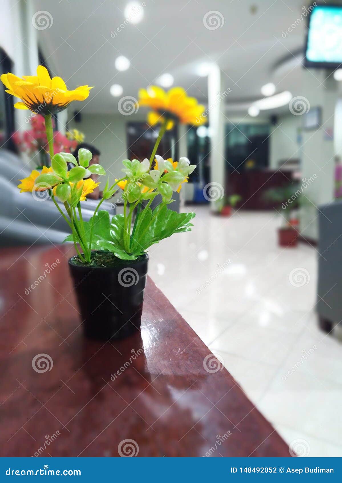 Beautiful Plastic Flowers in the Office Stock Photo Image of