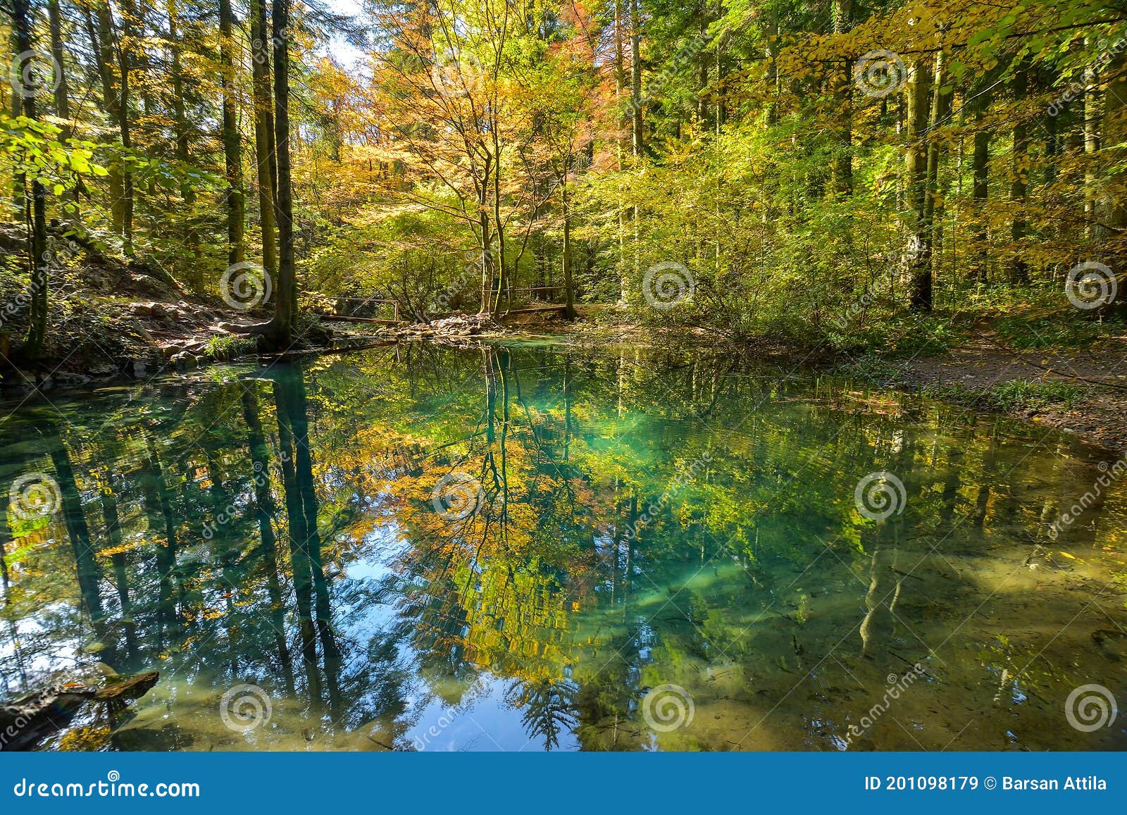 Beautiful Pond In The Woods Ochiul Beiului Caras Severin County