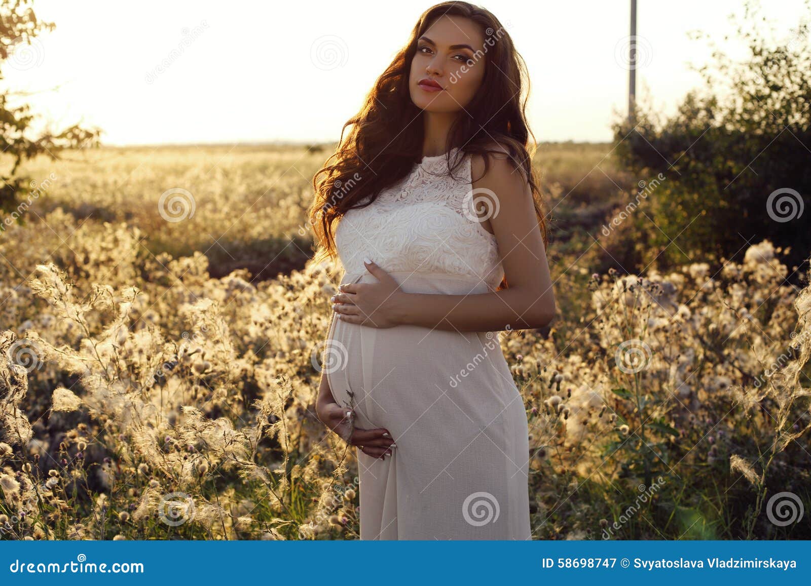 Beautiful Pregnant Woman With Dark Hair In Elegant Dress