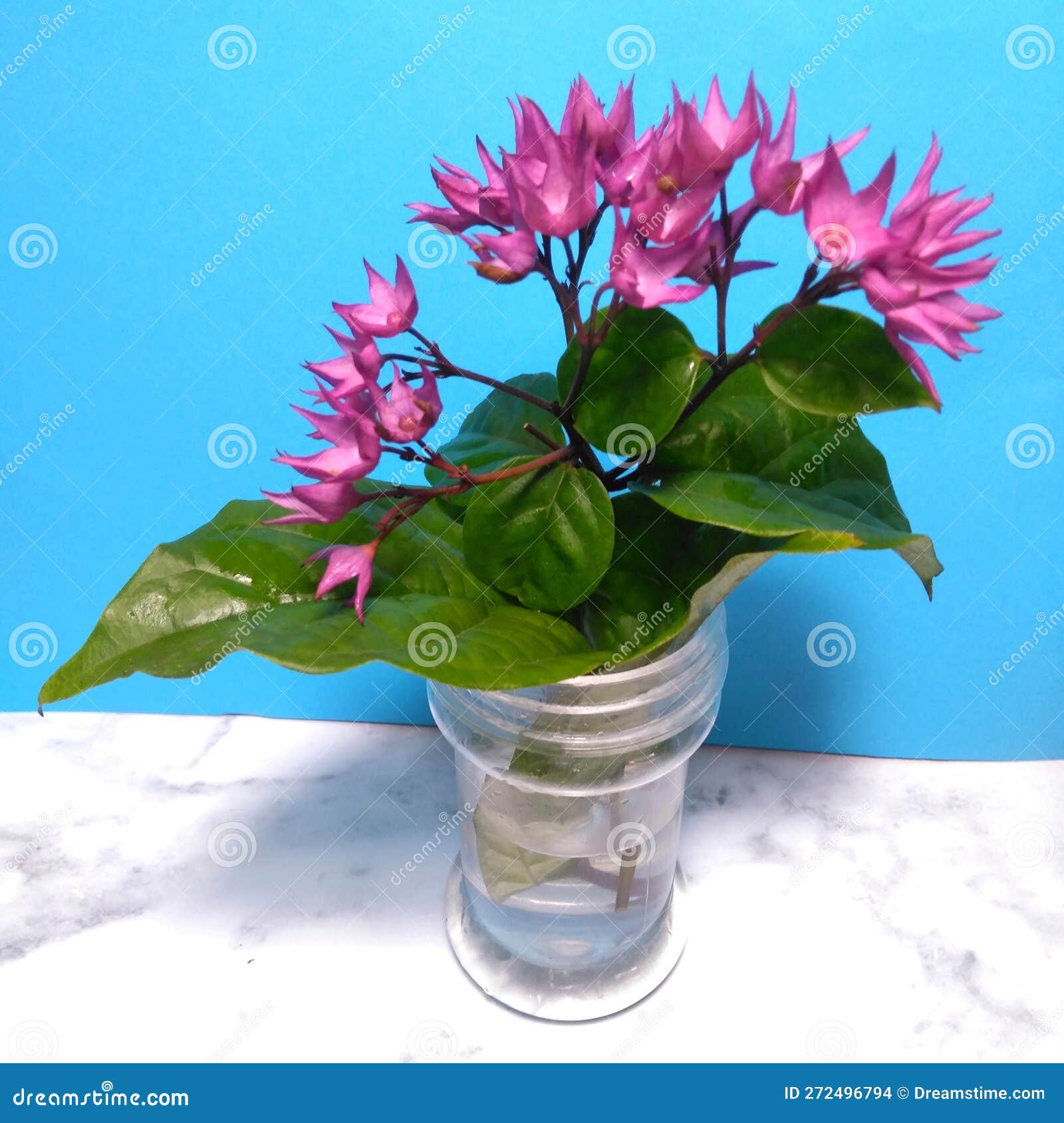 Beautiful Purple Flowers on Vase Stock Photo Image of bouquet, plant