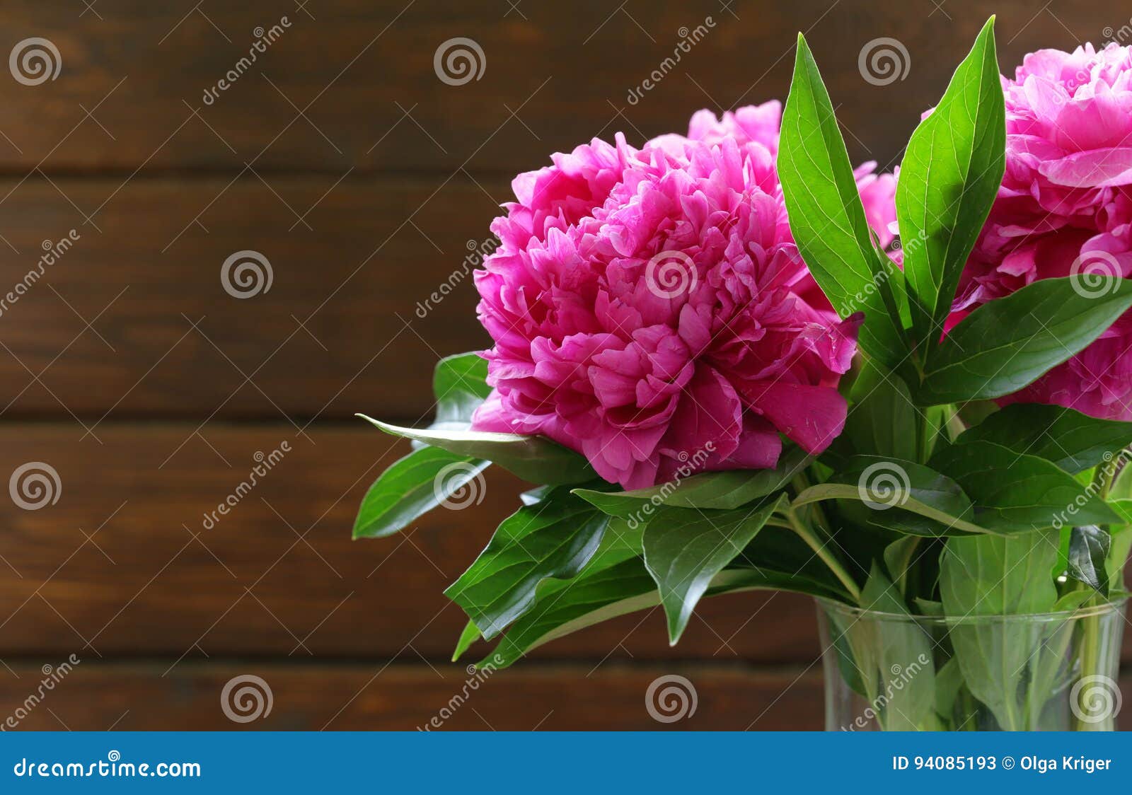 Beautiful Purple Peony, Flower Stock Image Image of peonies, bloom