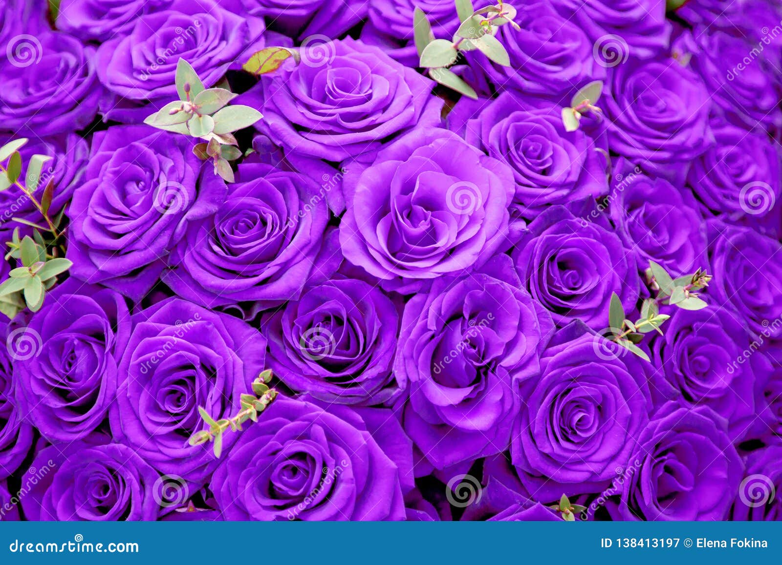 Beautiful Purple Rose Flowers. Large Bouquet Stock Image - Image ...