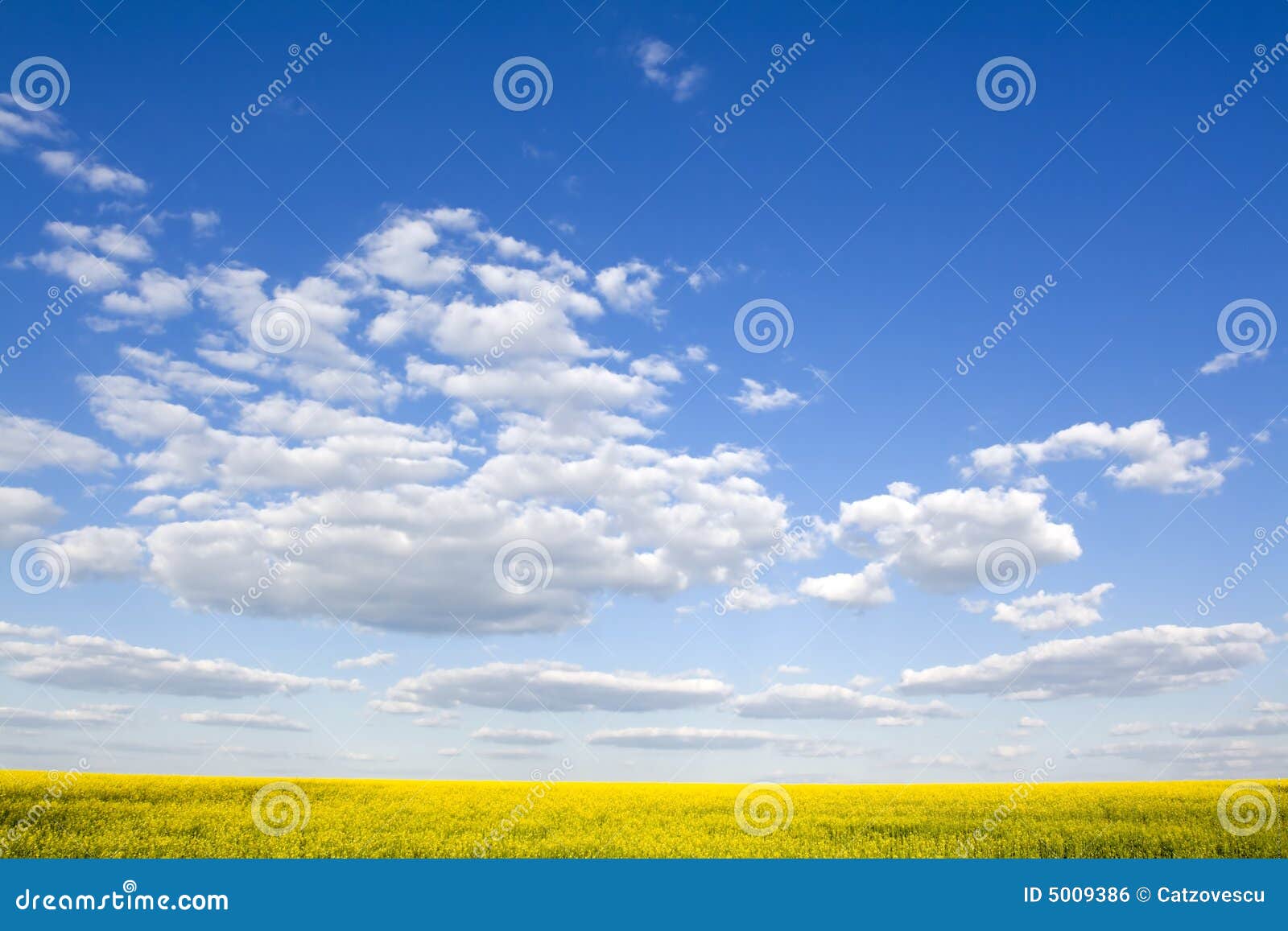 Hill stock image. Image of field, blue, freshness, cloudscape - 13264359