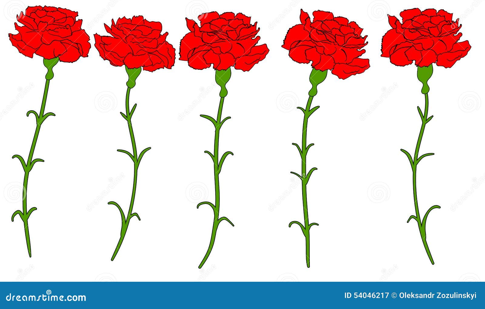 Vector Illustration Of Flower Red Carnation. 28592539