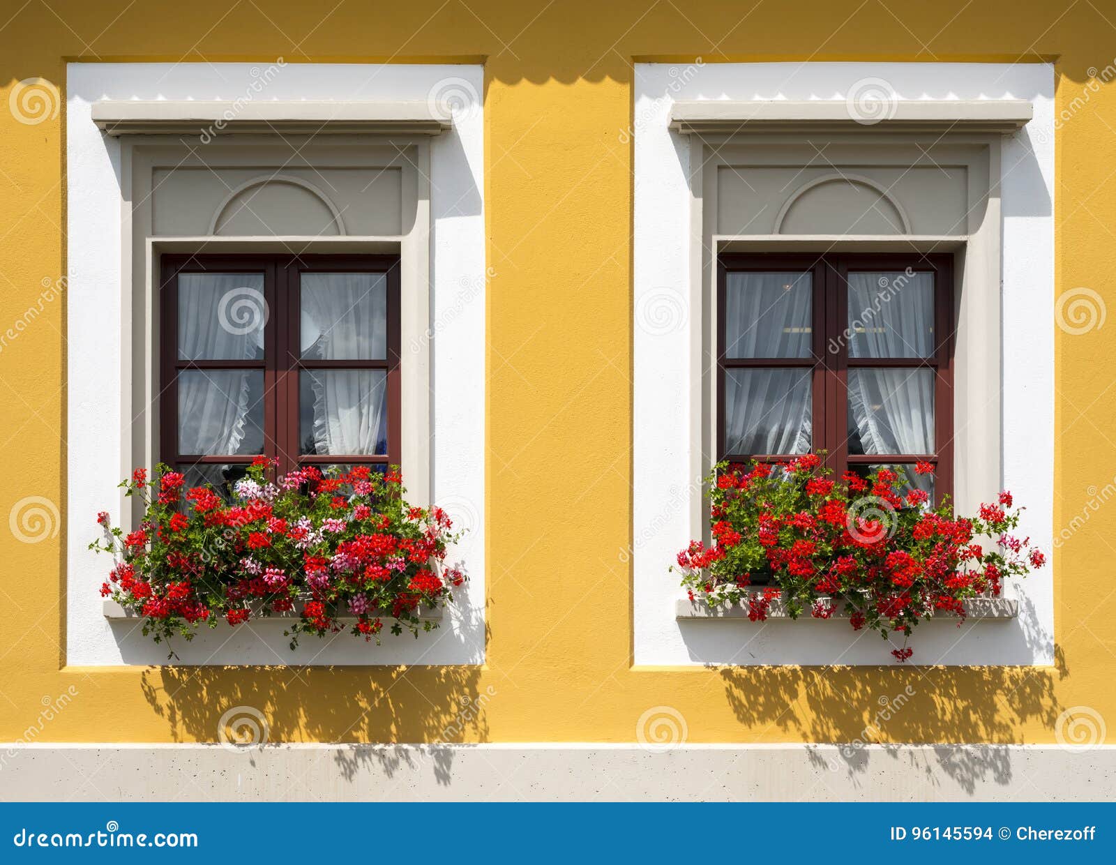 Beautiful Red Flowers in Closed Windows Stock Photo Image of home