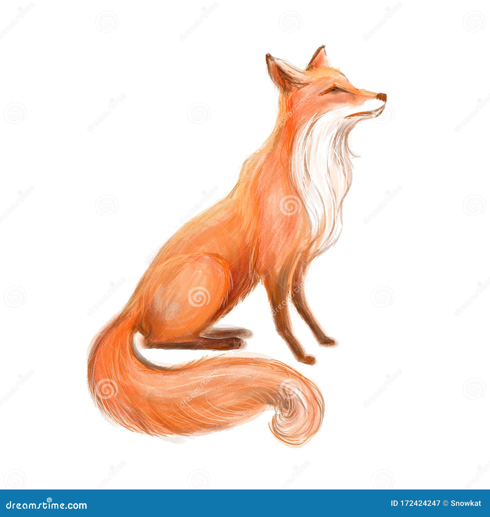 A Beautiful Red Fox, a Sketch from Life. Drawn Fox Stock Illustration ...