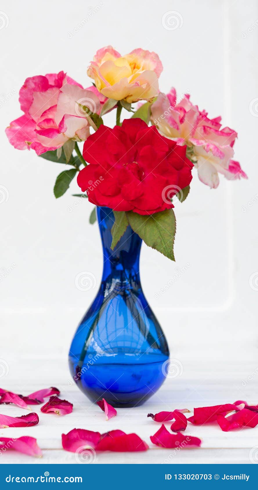 Beautiful Red And Pink Roses In Blue Vase White Wooden beautiful red pink roses blue vase white wooden backgr beautiful red pink roses blue vase white wooden