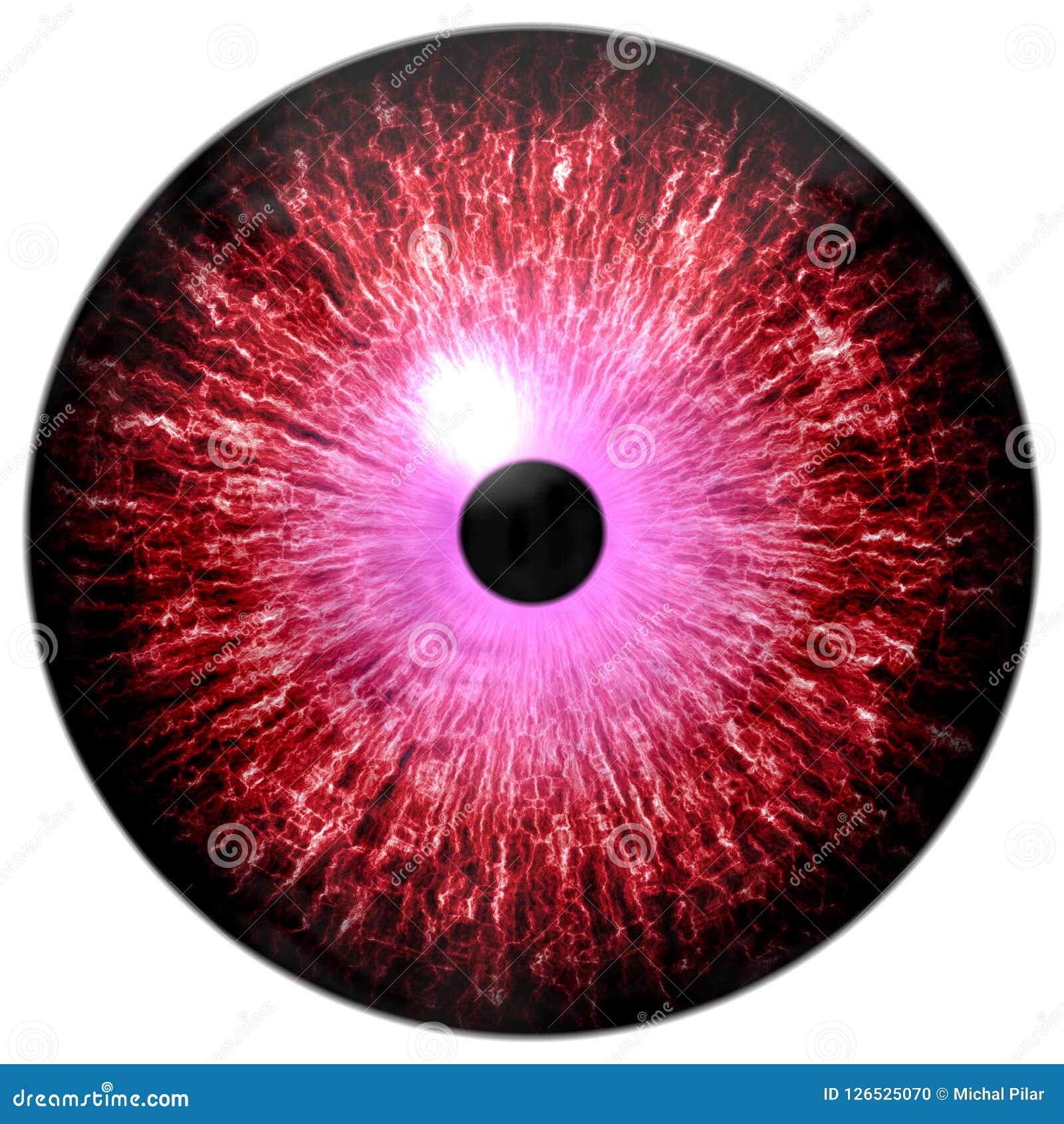 Round Eyeballs Stock Photos - Free & Royalty-Free Stock Photos from  Dreamstime