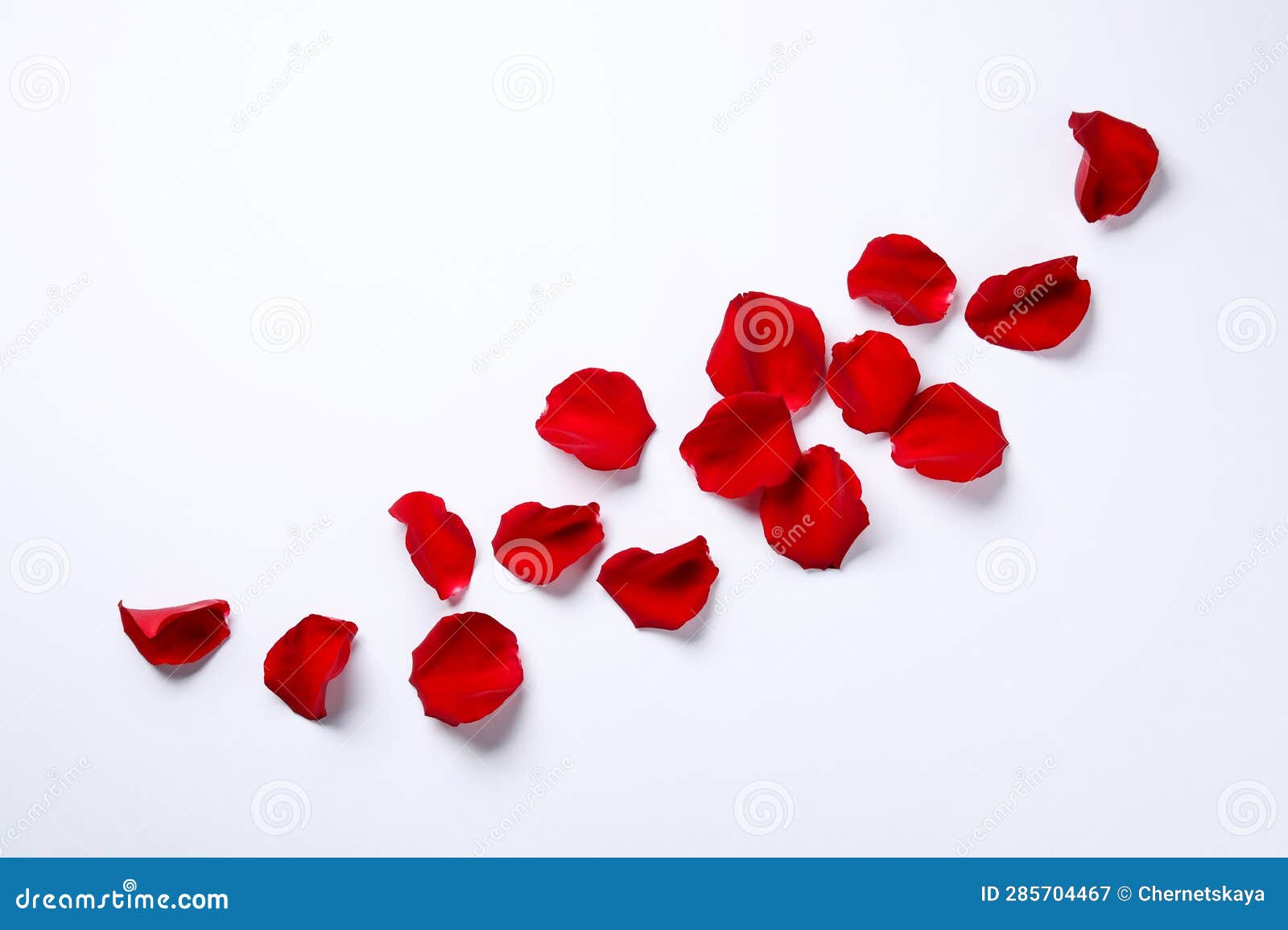 Beautiful Red Rose Petals on White Background, Top View Stock Image Image of decor, fresh