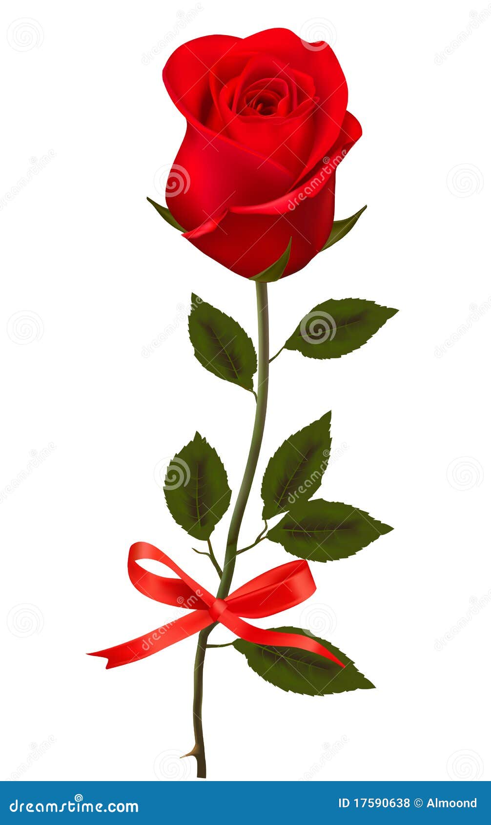 Beautiful Red Rose on a White Background. Vector. Stock Vector ...
