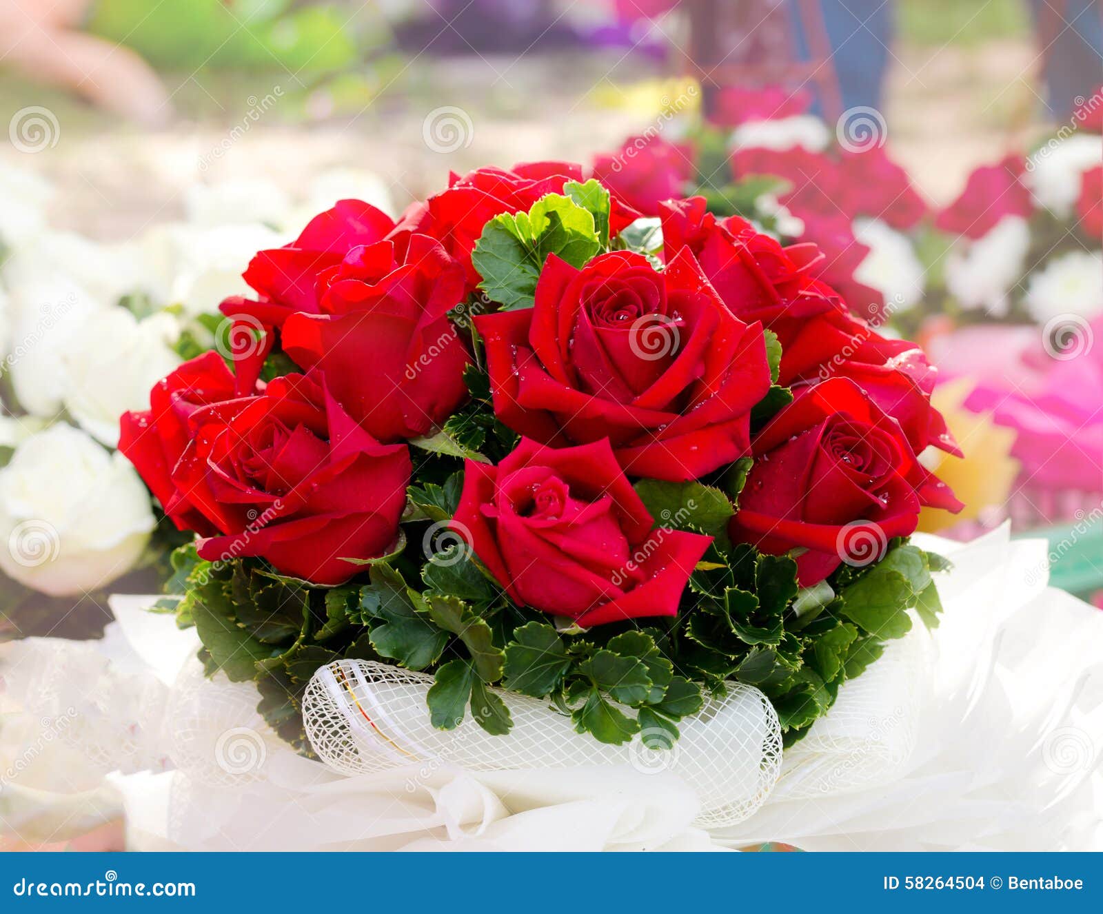 Beautiful Red Roses Bouquet Stock Photo Image 58264504