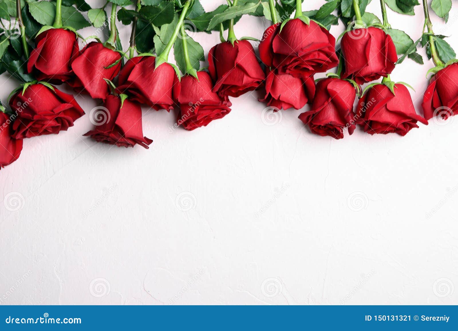 Beautiful Red Roses on Light Background Stock Image Image of romance