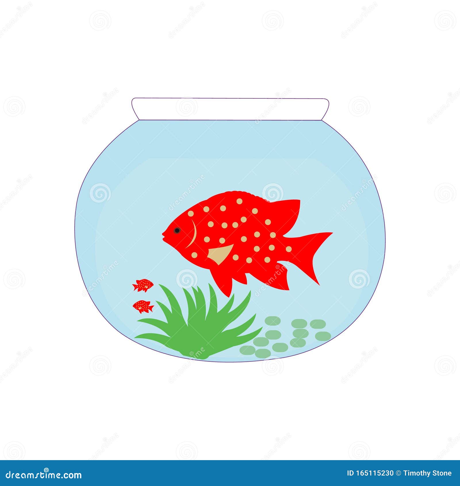 A Beautiful Red Tropical Fish in a Bowl Stock Vector Illustration of