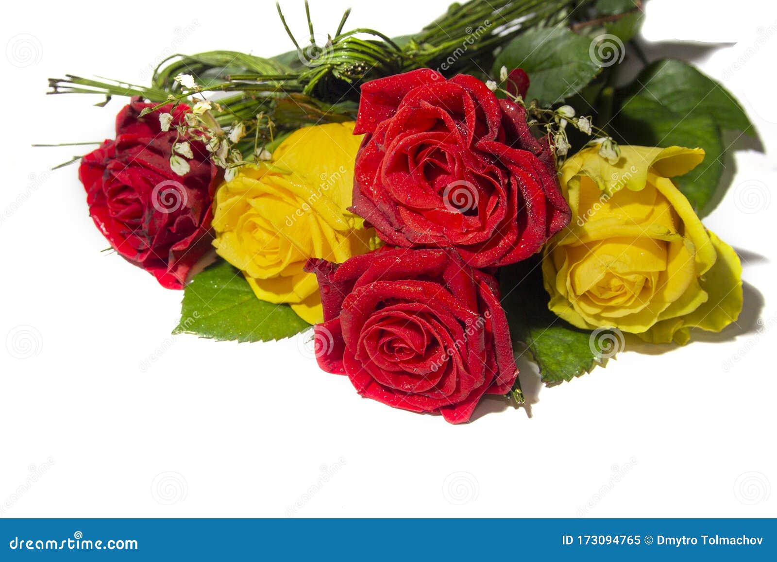Beautiful Red and Yellow Roses Isolated on White Stock Image Image of