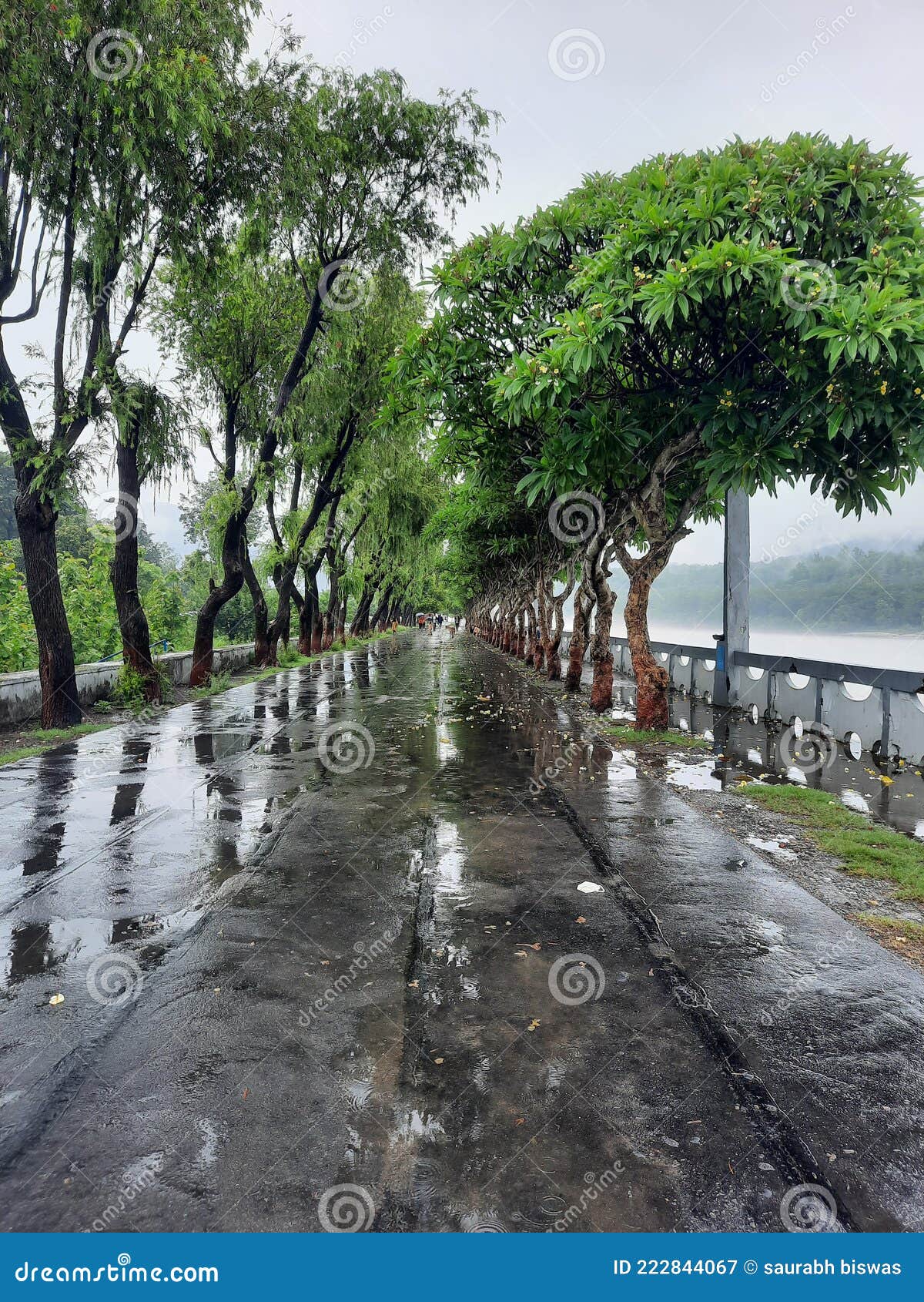 Beautiful Reflection Near by Aiims Rishikesh Stock Image Image of