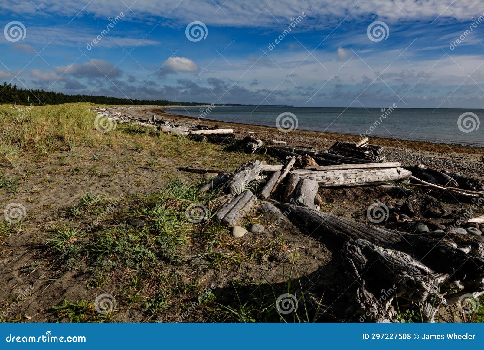 beautiful remoteness of east beach on haida gwaii