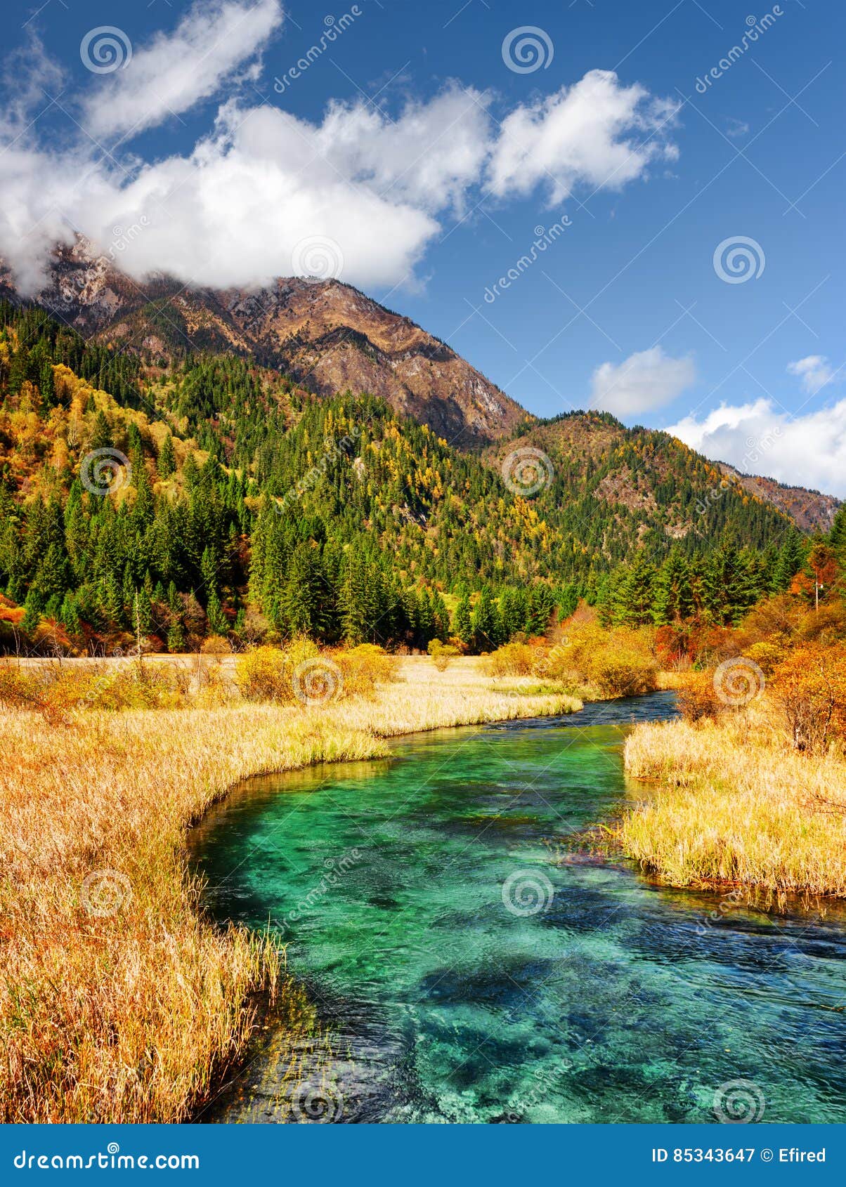 Beautiful River With Azure Crystal Clear Water Among Fall Fields Stock