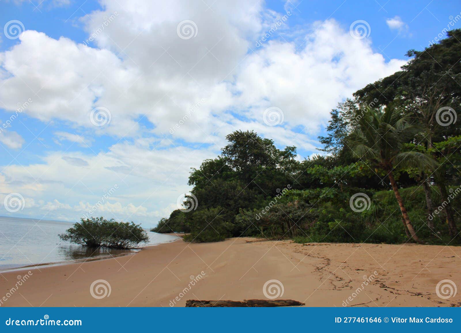 beautiful river beach, on the island of cotijuba