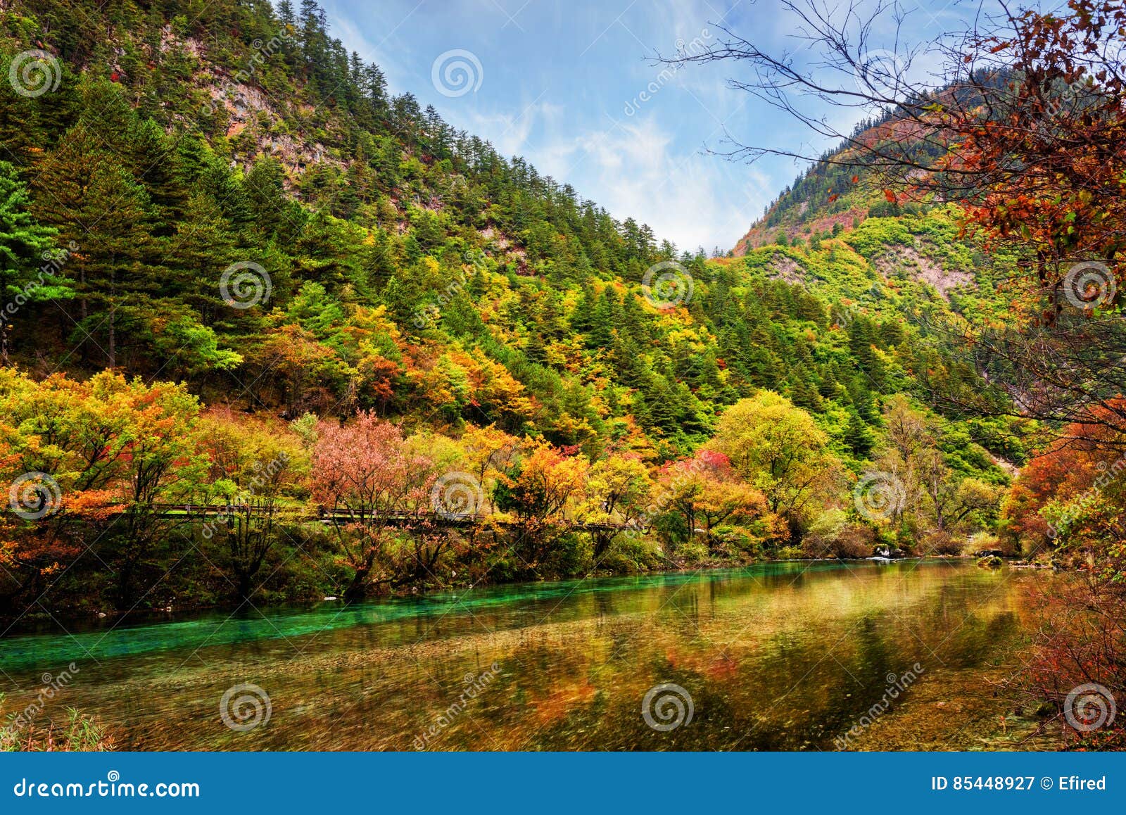 Beautiful River With Crystal Clear Water Among Fall Woods Stock Image