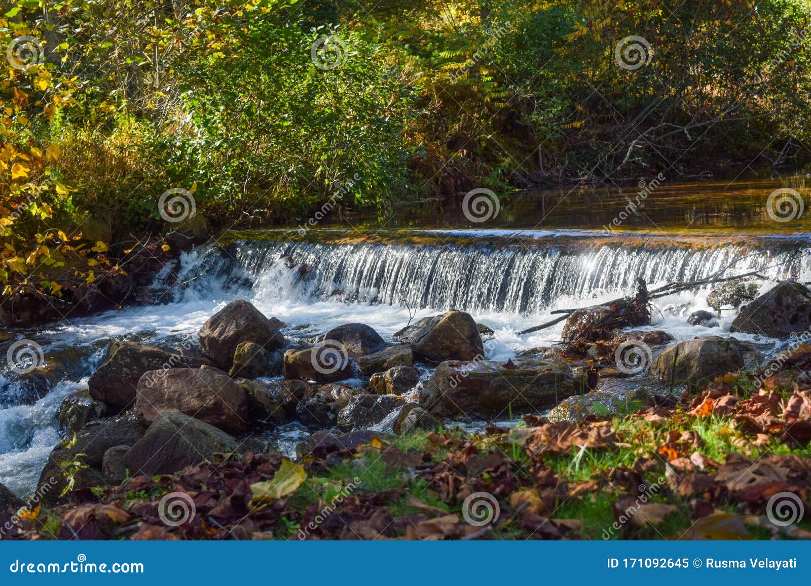 beautiful river at glen alton recreation area in autumn