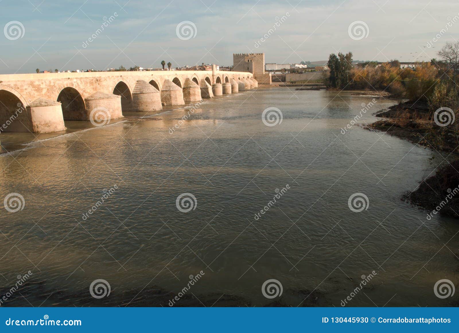 the beautiful roman bridge over the river guadalquivir leading to the town of cordoba in andalusia