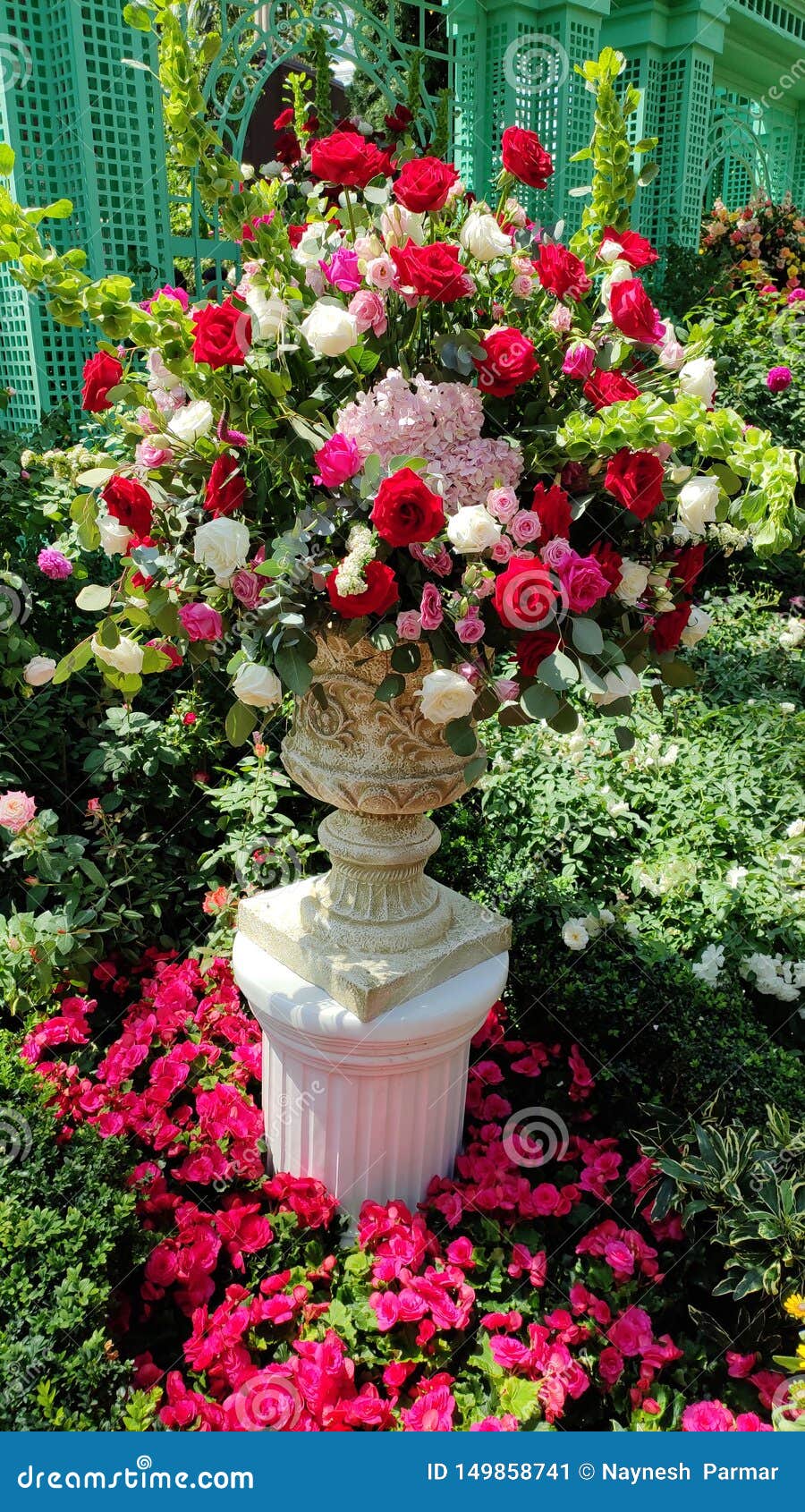 Beautiful Rose Flowers Vase with Green Plants Background Stock ...