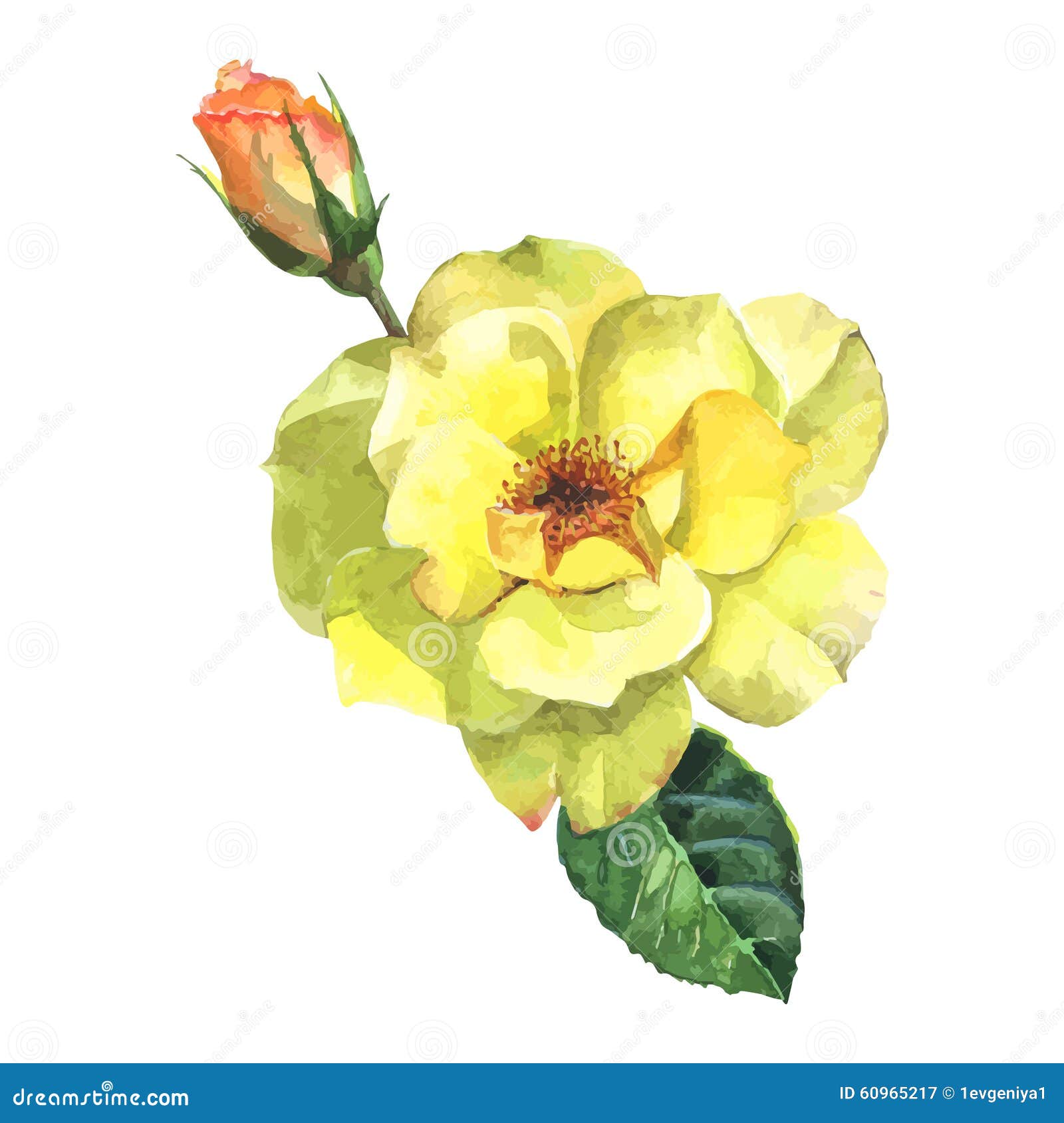 Watercolor Rosebud Stock Illustrations – 903 Watercolor Rosebud Stock  Illustrations, Vectors & Clipart - Dreamstime