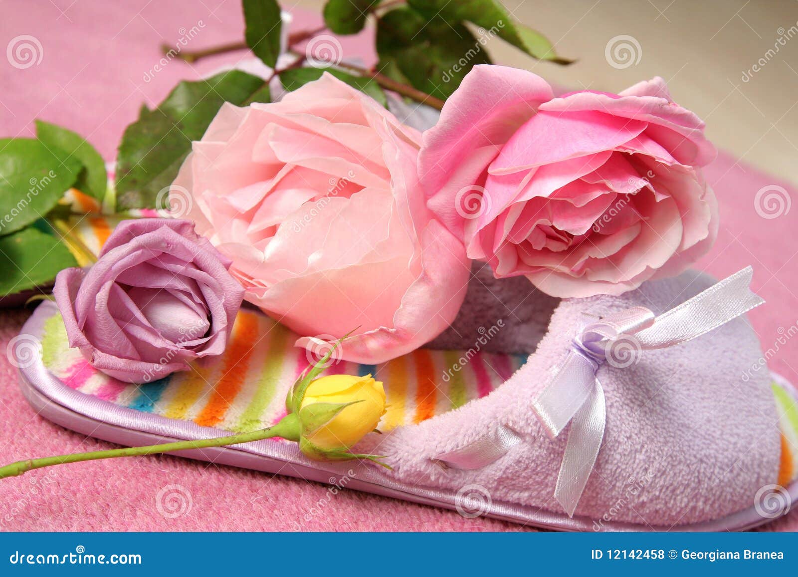 Beautiful Roses Home Decor stock photo. Image of pink 12142458