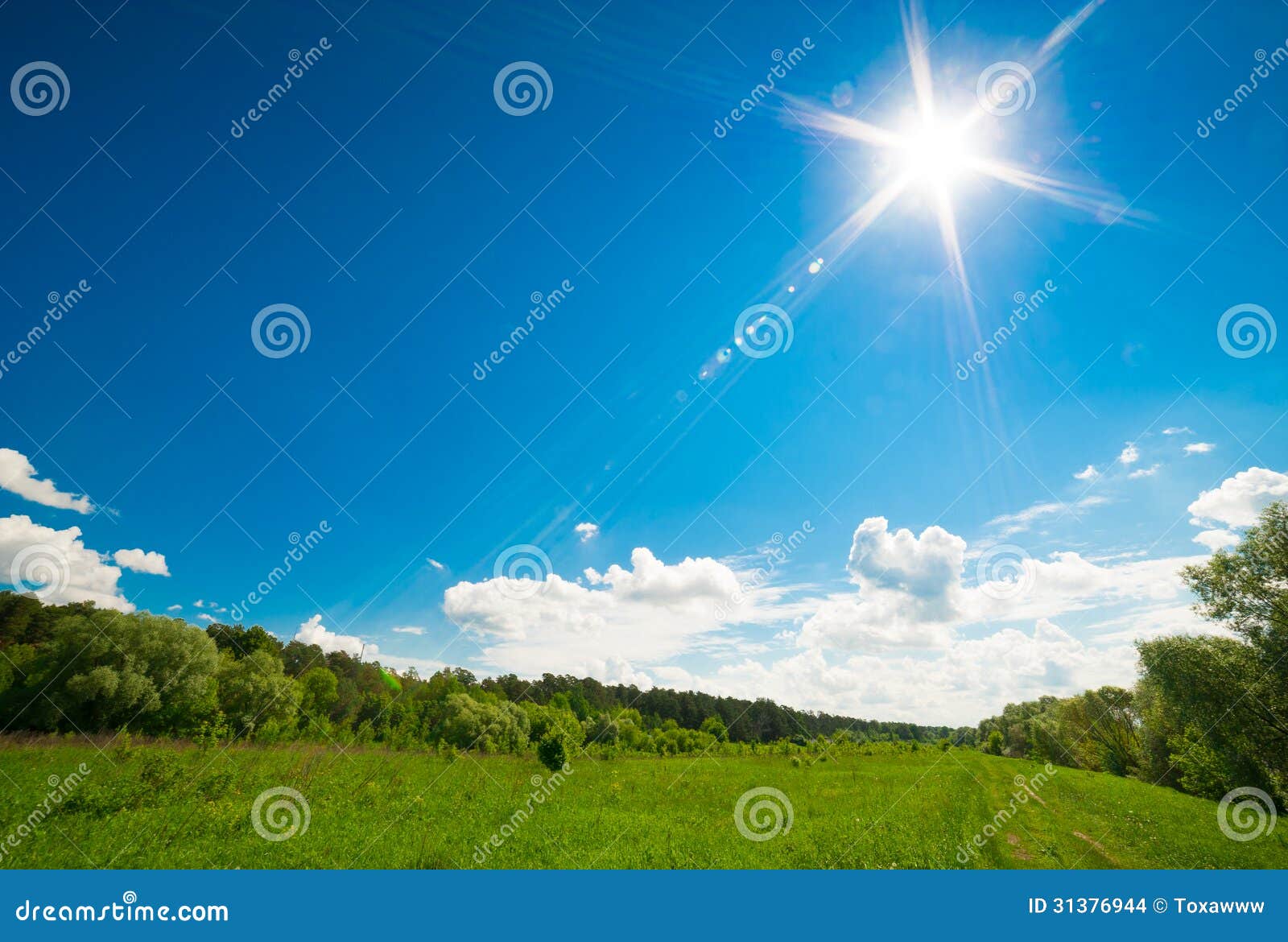 В полдень солнце на юге. Солнце в полдень. Солнце в небе светит ярко. Солнечный полдень фотография. Полуденное солнце фото.