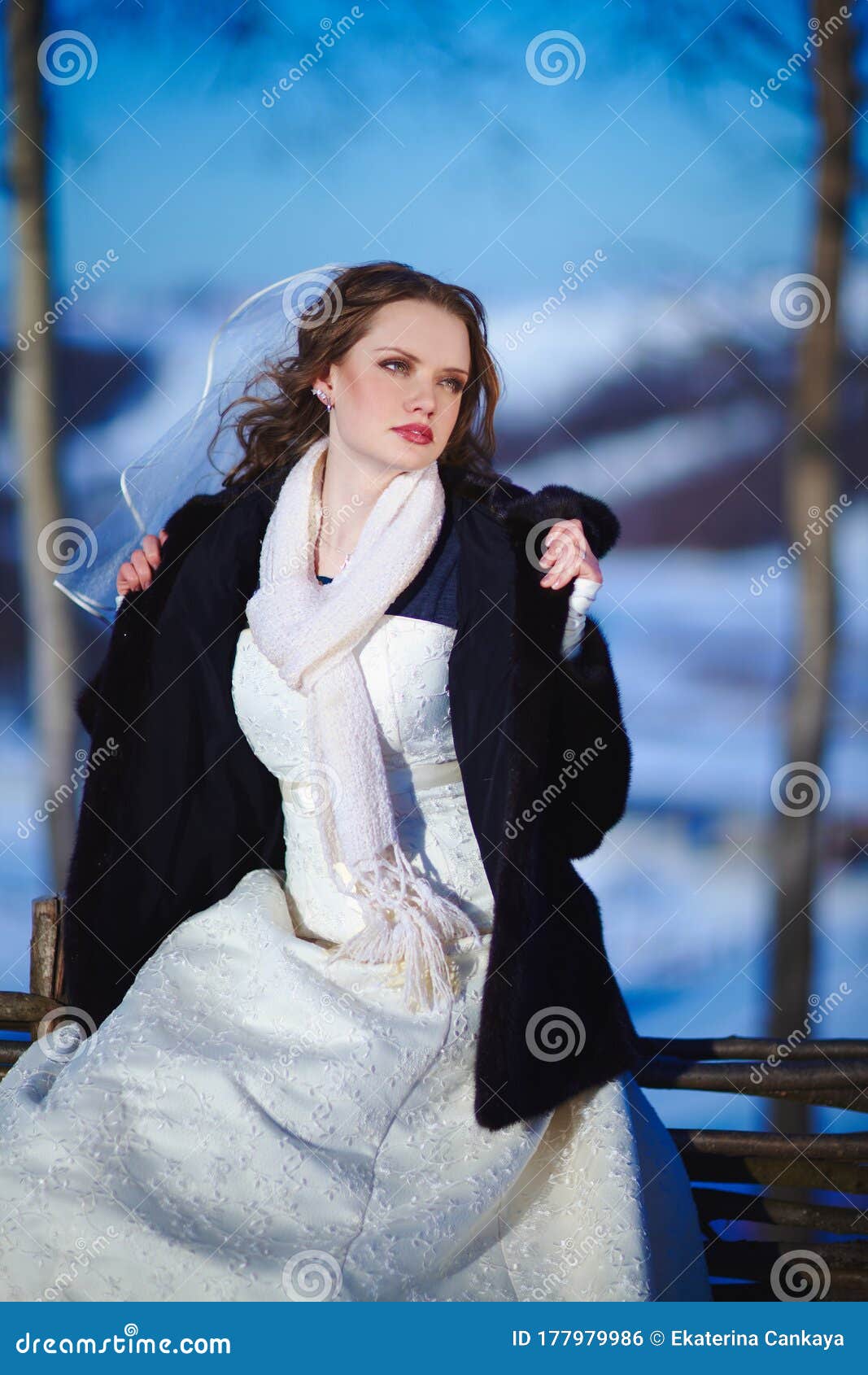 https://thumbs.dreamstime.com/z/beautiful-russian-bride-cold-winter-fur-snow-mountain-background-177979986.jpg