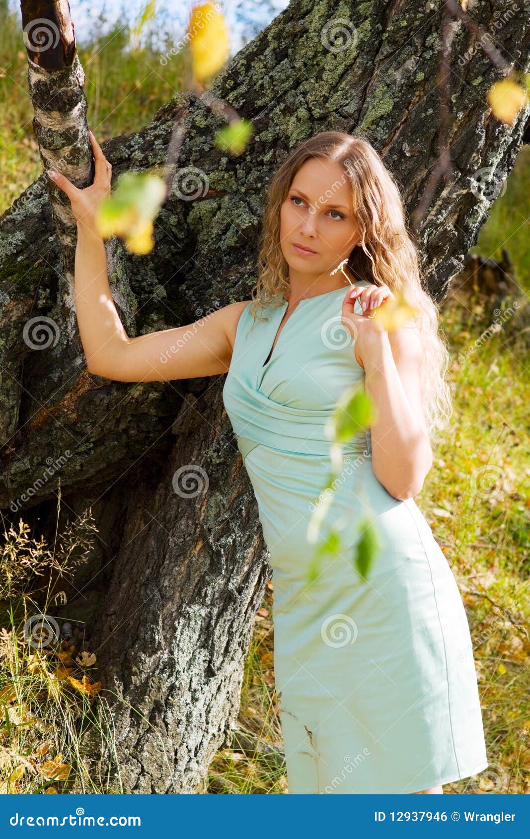 Beautiful Sad Woman with Daisy. Stock Photo - Image of branch, healthy ...