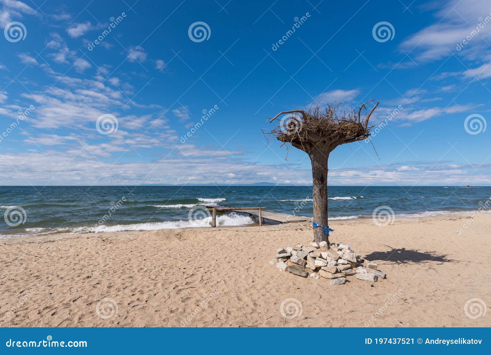 A Beautiful Sandy Beach With A Coniferous Forest In The Bay Of The