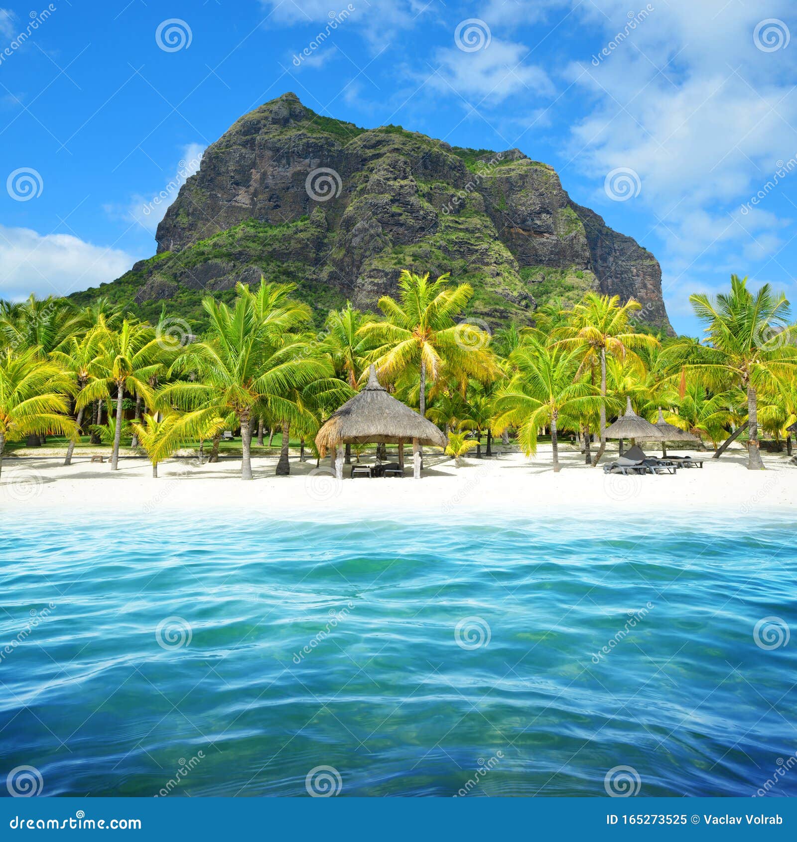 beautiful sandy beach with le morne brabant mountain on the south of mauritius island.