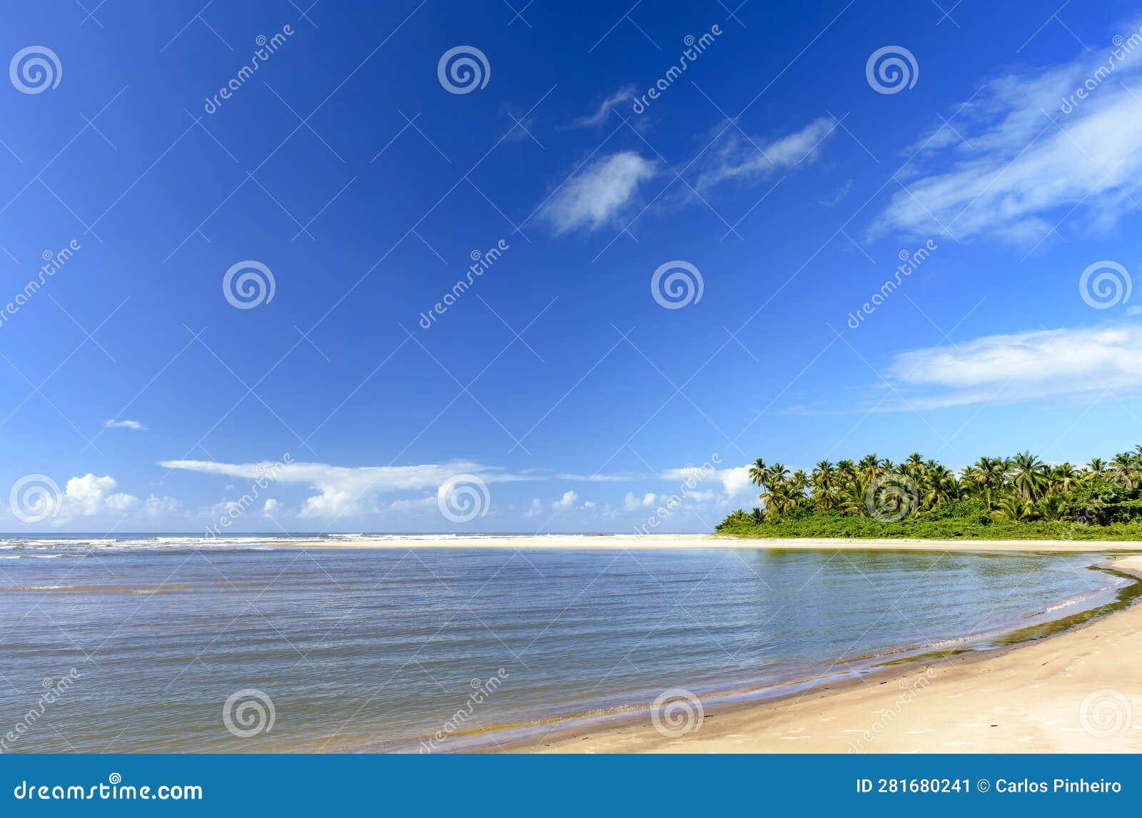 beautiful sargi beach surrounded by coconut trees