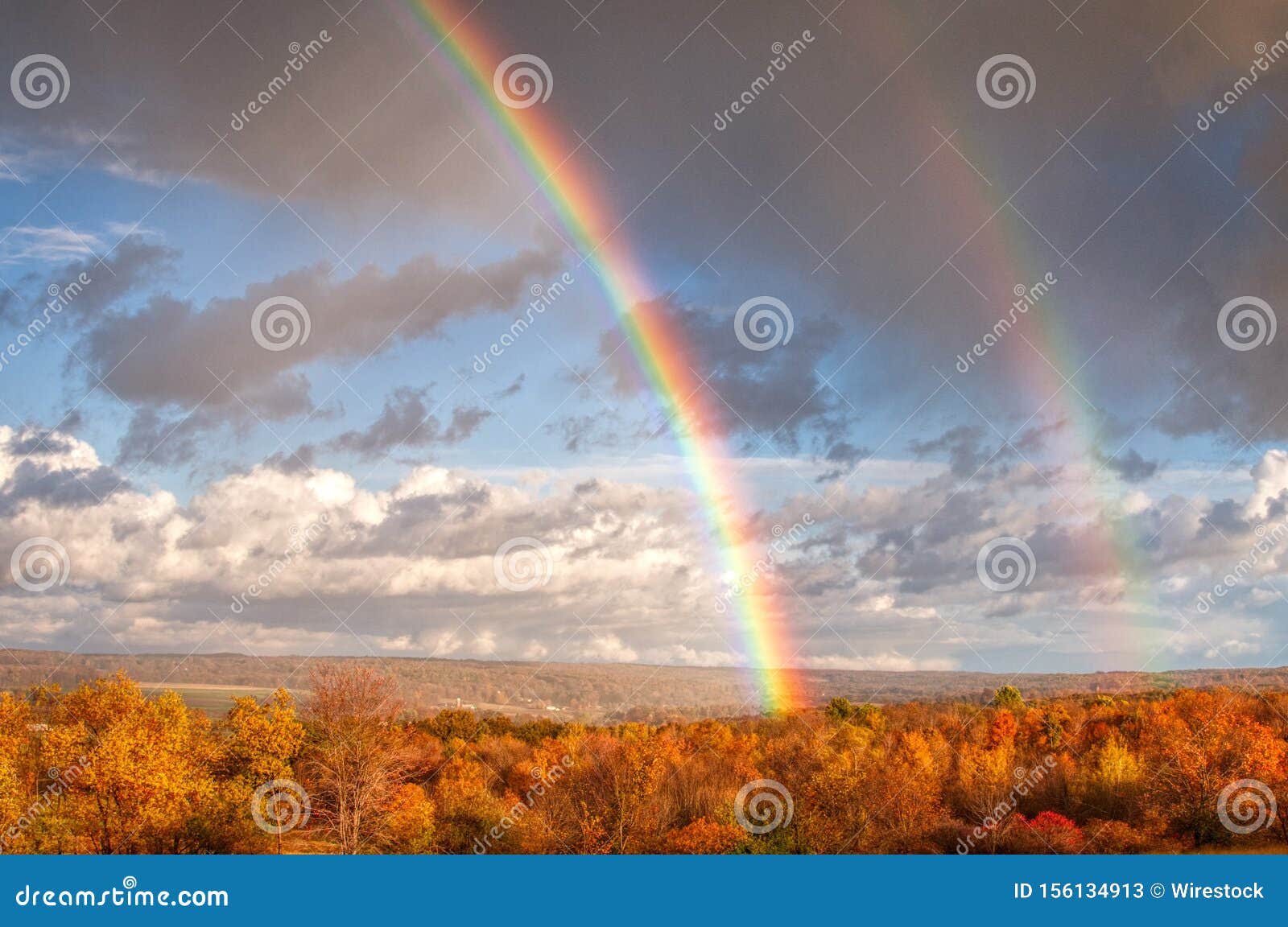 Beautiful Scenery of a Large Forest with a Breathtaking Double Rainbow