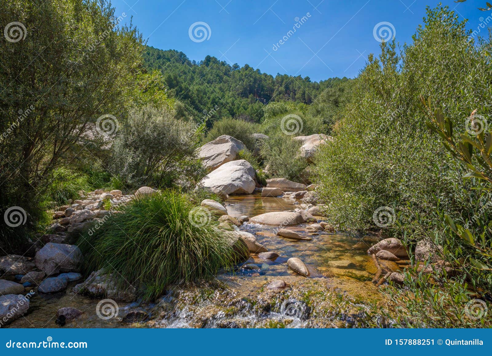 Scenery of Manzanares River in Camorza Gorge Near Stock Image - Image of liquid, 157888251