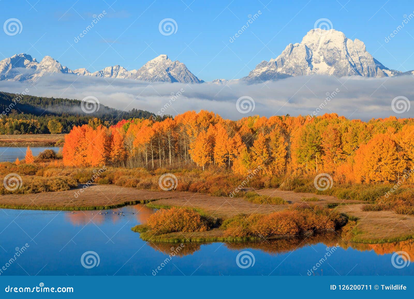 beautiful teton autumn scenic landscape