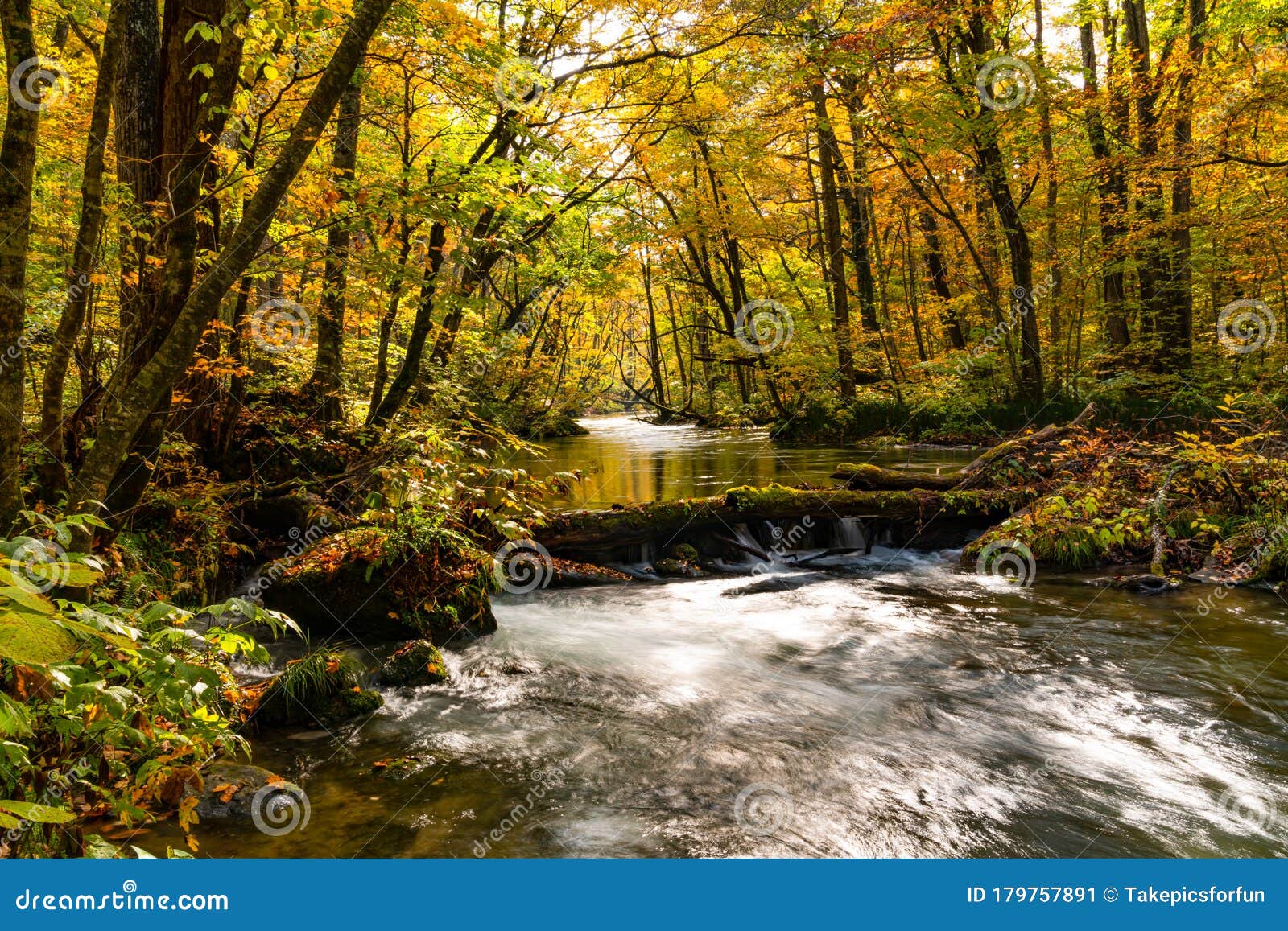 Beautiful Scenic View Of Oirase Mountain Stream Flow In The Colorful