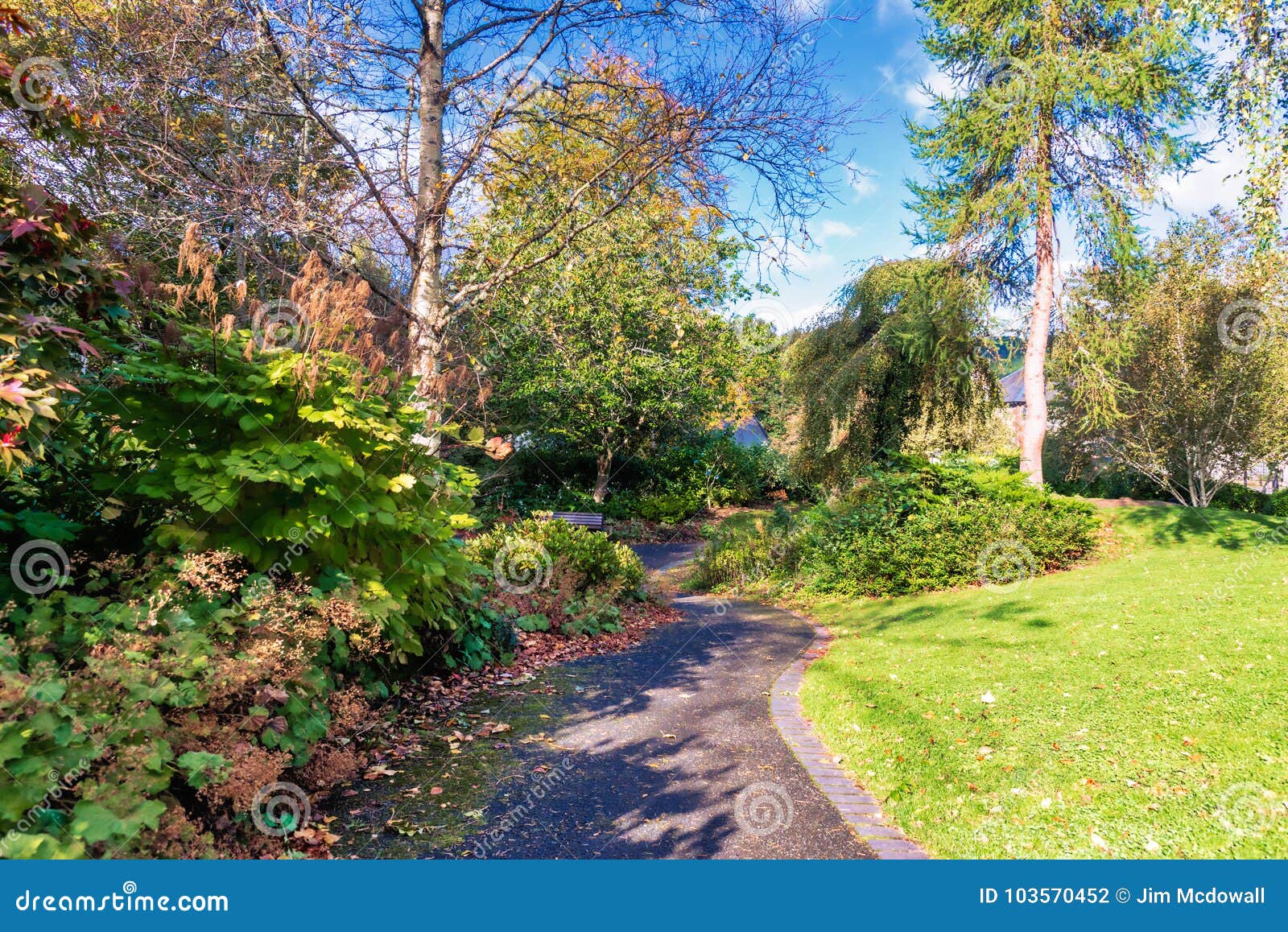 Beautiful Scottish Autumn Park in Birnam Scotland Stock Photo - Image ...