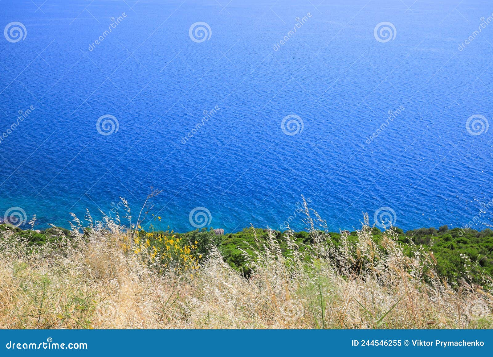 Beautiful Sea and Grass Landscape Stock Image Image of blue